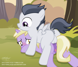Size: 2247x1946 | Tagged: explicit, artist:shutterflyeqd, anal, anatomically correct, blushing, butt, clitoris, colt, colt on filly, commission, cute, cute porn, dark genitals, dinky hooves, dripping, female, filly, foal, foalcon, from behind, g4, happy sex, horn, humping like there's no tomorrow, imported from derpibooru, male, nudity, pegasus, penetration, penis, plot, pony, pony on pony action, reverse foalcon, rumble, rumbledink, sex, shipping, show accurate, show accurate porn, signature, spreading, straight, unicorn, vagina, vaginal secretions, vector, vulva, vulvar winking, wet