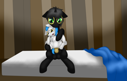 Size: 7000x4500 | Tagged: explicit, artist:glacierfrostclaw, oc, oc:backpack, oc:goggles, absurd resolution, alicorn, alicorn oc, bedroom, changeling, changeling male on filly action, changeling on pony action, female, foalcon, goggles, imported from derpibooru, interspecies, male, nudity, oc only, pegasus, penetration, pony, sex, sitting, straight, vaginal, vulva