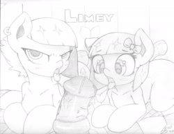 Size: 3300x2550 | Tagged: explicit, artist:aer0 zer0, blowjob, double blowjob, drool, drool string, duality, foalcon, g4, grayscale, high res, imported from derpibooru, lil' limey, limestone pie, lineart, male, male pov, monochrome, multiple blowjob, nudity, offscreen character, oral, penis, pov, precum, self paradox, sex, sketch, the ass was fat, traditional art, younger