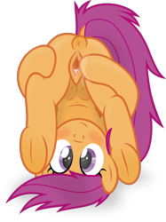 Size: 6000x8006 | Tagged: explicit, artist:gollygosh, scootaloo, absurd resolution, anatomically correct, anus, belly button, blushing, clitoris, crotchboobs, cute, cute porn, derpibooru exclusive, dock, female, filly, foal, foalcon, frog (hoof), g4, heart clitoris, imported from derpibooru, looking at you, looking between legs, nipples, nudity, on back, ponut, pony, show accurate, show accurate porn, simple background, smiling, solo, solo female, spreading, teats, transparent background, underhoof, vagina, vaginal secretions, vector, vulva