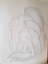 Size: 3024x4032 | Tagged: explicit, artist:gollygosh, scootaloo, anus, blushing, clitoris, crotchboobs, cute, derpibooru exclusive, female, foalcon, frog (hoof), frontbend, g4, heart clitoris, imported from derpibooru, looking at you, looking between legs, nudity, on back, pony, solo, solo female, spreading, teats, underhoof, upside down, vagina, vaginal secretions