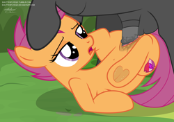 Size: 3604x2532 | Tagged: explicit, artist:shutterflyeqd, scootaloo, anatomically incorrect, balls, bedroom eyes, butt, dark genitals, dripping, female, filly, foal, foalcon, frontgina, g4, high res, horsecock, imported from derpibooru, male, nudity, on back, open mouth, pegasus, penetration, penis, plot, pony, raised hoof, sex, ship:scootalane, show accurate, show accurate porn, signature, spreading, stallion, stallion on filly, straight, the cmc's cutie marks, thunderlane, too hot for putin, underhoof, vaginal, vaginal secretions, vector, vulva, wingboner
