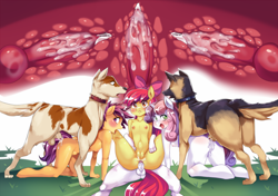 Size: 1841x1298 | Tagged: explicit, artist:freedomthai, apple bloom, scootaloo, sweetie belle, abdominal bulge, all fours, anal, anal creampie, anthro, balls, bestiality, breasts, canine penis, commission, creampie, cum, cumming, cutie mark crusaders, delicious flat chest, dog, doggy style, female, flatie belle, flattle bloom, foalcon, from behind, g4, imported from derpibooru, internal, internal cumshot, interspecies, knot, knotted, knotting, nipples, nudity, orgasm, penetration, penis, scootaflat, sex, small breasts, straight, unguligrade anthro, vulva, x-ray