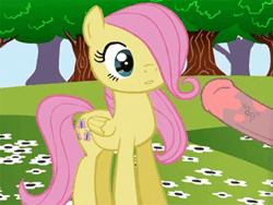 Size: 320x240 | Tagged: explicit, artist:wheredamaresat, artist:zed001, fluttershy, animated, cum, datamosh, disgusted, edit, error, facial, female, filly, foal, foalcon, g4, glitch art, imported from derpibooru, looking up, male, pegasus, pony, straight, younger