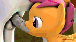 Size: 756x420 | Tagged: explicit, artist:certedia, artist:woozybits, scootaloo, 3d, animated, balls, bedroom eyes, blowjob, cheerilee, colt, doggy style, female, filly, flapping, foal, foalcon, from behind, g4, gif, horsecock, imported from derpibooru, male, mare, nudity, open mouth, oral, patreon, patreon logo, pegasus, penetration, penis, pony, public, public sex, rumble, sex, ship:rumbloo, shipping, smiling, source filmmaker, spread wings, stealth sex, straight, thrill of almost being caught, vaginal, wingboner, wings