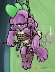 Size: 1136x1500 | Tagged: explicit, artist:smudge proof, spike, barbed penis, bedroom eyes, big penis, bondage, dragon, flutter brutter, foalcon, g4, imported from derpibooru, impossibly large penis, looking at you, male, my little pony: friendship is magic, nipples, nudity, patreon, patreon logo, penis, rope, rope bondage, scene interpretation, shibari, sketch, solo, solo male, stupid sexy spike, suspension bondage