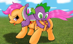 Size: 1980x1200 | Tagged: explicit, artist:curby, scootaloo, spike, alternate cutie mark, anus, blushing, butt, clitoris, commission, cunnilingus, dragon, female, foalcon, g4, imported from derpibooru, interspecies, male, nudity, oral, penis, plot, ponut, precum, scootabutt, sex, ship:scootaspike, shipping, straight, tongue out, vagina