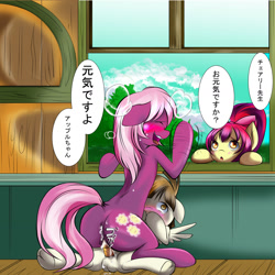 Size: 1504x1504 | Tagged: explicit, artist:0ryomamikado0, apple bloom, alternate hairstyle, anal creampie, balls, blushing, cheerilee, cheerilee gets all the colts, colt, cowgirl position, creampie, cum, dock, earth pony, eyes closed, featherweight, female, filly, flowerbutt, foal, foalcon, g4, imported from derpibooru, japanese, male, mare, mare on colt, nudity, pegasus, penetration, penis, pony, reasonably sized genitals, sex, stealth sex, straight, straight shota, thrill of almost being caught, translated in the description, vaginal, window