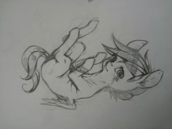 Size: 1280x960 | Tagged: explicit, artist:wimcrustumplus, scootaloo, female, foalcon, g4, genitals, imported from derpibooru, looking at you, nudity, solo, solo female, traditional art, vulva