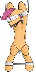 Size: 500x1000 | Tagged: explicit, artist:riscke, scootaloo, bit gag, blindfold, bondage, dripping, female, foalcon, g4, gag, imported from derpibooru, insertion, sex toy, simple background, solo, solo female, spreader bar, trembling, vaginal insertion, vaginal secretions, vibrator, white background