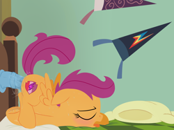 Size: 2400x1800 | Tagged: explicit, artist:dtcx97, scootaloo, ass up, backbend, bed, blushing, cutie mark, dildo, face down ass up, female, female orgasm, filly, foal, foalcon, g4, imported from derpibooru, masturbation, nudity, orgasm, pegasus, pony, raised tail, sex toy, solo, solo female, squirting, sweat, tail, the cmc's cutie marks, tongue out, underhoof, vaginal secretions, wingboner