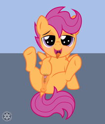 Size: 2500x2947 | Tagged: explicit, artist:sasukex125, scootaloo, anatomically correct, anus, bedroom eyes, female, foalcon, g4, high res, imported from derpibooru, looking at you, masturbation, nudity, ponut, show accurate, show accurate porn, solo, solo female, vagina, vaginal secretions, vulva, vulvar winking