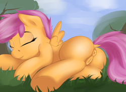 Size: 3700x2700 | Tagged: explicit, artist:teta, scootaloo, anatomically correct, anus, butt, casual nudity, cute, cutealoo, dock, eyes closed, female, filly, foal, foalcon, g4, genitals, grass, high res, imported from derpibooru, nudity, pegasus, plot, ponut, pony, prone, sleeping, sleeping in the nude, smiling, solo, solo female, underhoof, vulva