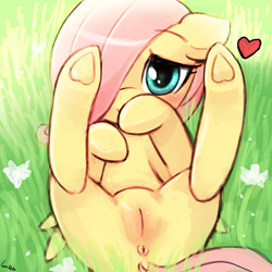 Size: 750x750 | Tagged: explicit, artist:lumineko, fluttershy, anus, blushing, cute, cute porn, dock, female, filly, foal, foalcon, g4, genitals, hair over one eye, heart, hoof heart, imported from derpibooru, looking at you, nudity, pegasus, pony, presenting, solo, solo female, underhoof, vulva, vulva blush, weapons-grade cute, younger