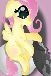 Size: 2884x4266 | Tagged: explicit, artist:jonathan the awesome, fluttershy, :o, blushing, derpibooru exclusive, dock, female, filly, floppy ears, fluffy, foal, foalcon, g4, hair over one eye, hoofjob, horsecock, implied futa on female, implied rarity, imported from derpibooru, male, nudity, penis, precum, shipping, sitting, stallion on filly, straight