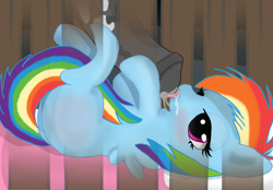Size: 1590x1108 | Tagged: explicit, artist:jonathan the awesome, rainbow dash, babycon, cock nursing, crib, cum feeding, derpibooru exclusive, drink, female, filly rainbow dash, foalcon, g4, horsecock, implied futa on female, implied rarity, imported from derpibooru, licking, male, nudity, pegasus, penis, pony, precum, straight, tongue out, younger