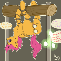 Size: 1500x1500 | Tagged: explicit, artist:poisindoodles, scootaloo, anal insertion, anus, bondage, dialogue, egg, female, filly, foal, foalcon, g4, imported from derpibooru, insertion, nudity, oviposition, pegasus, pony, solo, solo female, tied up, unusual insertion, upside down, vaginal insertion, vulva