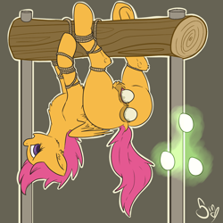 Size: 1500x1500 | Tagged: explicit, artist:poisindoodles, scootaloo, anal insertion, anus, bondage, egg, female, filly, foal, foalcon, g4, imported from derpibooru, insertion, nudity, oviposition, solo, solo female, stretching, tied up, unusual insertion, upside down, vaginal insertion