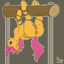 Size: 1500x1500 | Tagged: explicit, artist:poisindoodles, scootaloo, anus, bondage, female, filly, foal, foalcon, g4, imported from derpibooru, nudity, pegasus, ponut, pony, solo, solo female, tied up, upside down, vulva