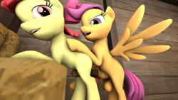 Size: 1920x1080 | Tagged: explicit, artist:closed bracket, apple bloom, scootaloo, 3d, big penis, foalcon, futa, futa on female, futa scootaloo, g4, horsecock, imported from derpibooru, intersex, nudity, penis, source filmmaker