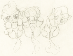 Size: 3385x2577 | Tagged: explicit, artist:a6p, apple bloom, scootaloo, sweetie belle, anatomically correct, anus, clitoris, creampie, crotchboobs, cum, cutie mark crusaders, dock, female, foalcon, g4, high res, imported from derpibooru, monochrome, nipples, nudity, ponut, presenting, teats, traditional art, varying degrees of want, vulva, vulvar winking