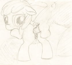 Size: 3481x3161 | Tagged: explicit, artist:a6p, apple bloom, age difference, anal, anal creampie, anal orgasm, belly button, clitoris, creampie, cum, cumming, earth pony, female, filly, foal, foalcon, g4, hands free, high res, imported from derpibooru, large penetration, male, monochrome, nipples, nudity, orgasm, penetration, pony, pony on pony action, sex, shipping, simultaneous orgasm, stallion, stallion on filly, straight, traditional art, vaginal secretions, vaginal secretions trail, vulva, vulvar winking