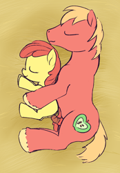 Size: 870x1248 | Tagged: explicit, artist:a6p, apple bloom, accidental incest, accidental sex, anatomically correct, anus, applecest, big macintosh, brother and sister, clitoris, cuddling, earth pony, filly, flaccid, foal, foalcon, g4, imported from derpibooru, incest, labia, male, nudity, penetration, penis, ponut, pony, reasonably sized genitals, sex, sheath, ship:macbloom, shipping, siblings, sleeping, snuggling, somnophilia, stallion, stallion on filly, straight, unshorn fetlocks, vaginal, vulva, vulvar winking