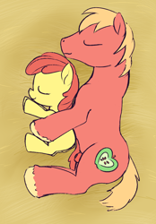 Size: 870x1248 | Tagged: explicit, artist:a6p, apple bloom, anatomically correct, anus, applecest, big macintosh, brother and sister, cuddling, earth pony, filly, flaccid, foal, foalcon, g4, imported from derpibooru, incest, labia, male, nudity, penetration, penis, ponut, pony, sex, sheath, ship:macbloom, shipping, siblings, sleeping, snuggling, stallion, stallion on filly, straight, unshorn fetlocks, vaginal, vulva