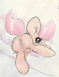 Size: 690x890 | Tagged: explicit, artist:slightlyshade, scootaloo, anus, butt, female, foalcon, g4, imported from derpibooru, looking back, nudity, pegasus, plot, pony, solo, solo female, traditional art, vulva