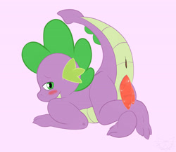 Size: 3800x3300 | Tagged: explicit, artist:dexial, spike, anus, ass, blushing, butt, dragon, foalcon, g4, hemipenis, high res, imported from derpibooru, male, nudity, penis, presenting, raised tail, solo, solo male