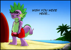Size: 2481x1754 | Tagged: explicit, artist:exelzior, spike, beach, clothes, dragon, foalcon, g4, grin, imported from derpibooru, male, nudity, penis, solo, solo male, sunglasses, surfboard, swimsuit