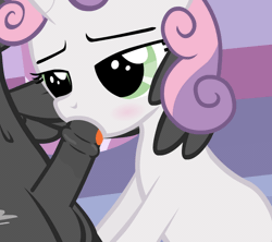 Size: 900x800 | Tagged: explicit, artist:sadieyule, sweetie belle, age difference, animated, balls, bedroom eyes, belly button, blowjob, blushing, drool, female, filly, foal, foalcon, g4, holding head, imported from derpibooru, indoors, just the tip, male, mare, mating, nudity, offscreen character, oral, pegasus, penetration, penis, pony, reasonably sized balls, reasonably sized genitals, reasonably sized penis, ship:sweetielane, show accurate, show accurate porn, stallion, stallion on filly, straight, thunderlane, tongue out, unicorn, wing hands