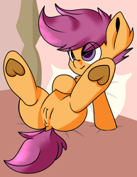 Size: 1358x1755 | Tagged: explicit, artist:honeybawl, scootaloo, anus, bed, butt, dock, female, foalcon, g4, imported from derpibooru, nudity, on back, plot, ponut, presenting, smiling, solo, solo female, spread legs, spreading, underhoof, vulva
