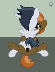 Size: 1327x1729 | Tagged: explicit, artist:sasukex125, button mash, anal, anus, balls, colt, colt on colt, cowgirl position, foal, foalcon, g4, gay, imported from derpibooru, male, nudity, penis, pony, pony on pony action, rear view, reasonably sized genitals, rumble, sex, ship:rumblemash, show accurate, show accurate porn, spankable coin purse
