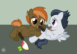 Size: 2035x1434 | Tagged: explicit, artist:sasukex125, button mash, balls, belly button, blowjob, colt, colt on colt, foal, foalcon, g4, gay, imported from derpibooru, just the tip, licking, licking cock, male, nudity, oral, penis, pony, reasonably sized genitals, rumble, sex, ship:rumblemash, spankable coin purse, tongue out