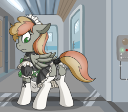 Size: 2000x1750 | Tagged: explicit, artist:fearingfun, oc, oc:black powder, anus, balls, clothes, colt, crossdressing, ears back, eyelashes, fallout equestria, foal, foalcon, imported from derpibooru, indoors, maid, male, nudity, oc only, ponut, skirt, solo, solo male, tail wrap, teenager, trap, upskirt