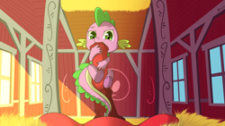 Size: 3840x2160 | Tagged: explicit, artist:mostazathy, spike, 4k, and then spike was gay, big macintosh, big penis, cock kissing, cute porn, dragon, earth pony, foalcon, g4, gay, high res, imported from derpibooru, interspecies, male, nudity, penis, pony, ship:spikentosh, shipping, size difference, stallion
