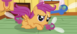 Size: 2901x1272 | Tagged: explicit, artist:shutterflyeqd, scootaloo, bestiality, blowjob, cum, female, foalcon, foursome, g4, gangbang, group sex, horsecock, imported from derpibooru, interspecies, male, nudity, oral, parasprite, penis, pornasprite, sex, straight, vagina