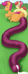 Size: 800x2100 | Tagged: explicit, artist:lamia, apple bloom, scootaloo, 180 penis, balls, balls on floor, big crotchboobs, big penis, crotchboobs, crotchboobs on floor, cum, earth pony, exhibitionism, foalcon, futa, futa scootaloo, g4, horsecock, huge crotchboobs, imported from derpibooru, impossibly large balls, impossibly large crotchboobs, impossibly large penis, intersex, lamia did it again, nipples, nudity, oppai loli, pegasus, penis, pony, puffy areolas, smirk, wat, what has magic done
