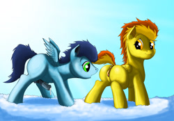 Size: 2913x2026 | Tagged: explicit, artist:exelzior, anus, balls, butt, clitoris, cloud, colt, cum, experimenting, female, filly, foal, foalcon, g4, high res, horsecock, imported from derpibooru, male, nudity, penis, plot, presenting, soarin', spitfire, straight, vulva, vulvar winking, younger