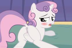 Size: 720x486 | Tagged: explicit, artist:binarypone, sweetie belle, anatomically correct, animated, anus, bed, blushing, ear flick, female, filly, foal, foalcon, g4, hoofing, horn, imported from derpibooru, looking back, masturbation, nudity, ponut, pony, prone, raised tail, show accurate, show accurate porn, solo, solo female, unicorn, vagina, vaginal secretions, vulva, vulvar winking, wet