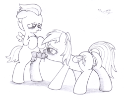 Size: 2465x1990 | Tagged: explicit, artist:an-tonio, rainbow dash, anus, balls, blowjob, blushing, butt, female, foalcon, g4, horsecock, imported from derpibooru, male, monochrome, nudity, oral, penis, plot, ponut, reasonably sized genitals, rumble, ship:rumbledash, shipping, straight, straight shota, traditional art, vaginal secretions, vulva, wingboner