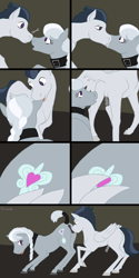 Size: 1500x3000 | Tagged: explicit, artist:autumnbramble, silver spoon, anatomically correct, anus, ass up, blushing, boop, butt, butt touch, collar, comic, dark genitals, drool, ear bite, eyes on the prize, face down ass up, feathermarking, female, foalcon, g4, imported from derpibooru, kissing, looking back, male, noseboop, nudity, nuzzling, open mouth, plot, ponut, precum, presenting, raised hoof, raised tail, reasonably sized genitals, rumble, servant spoon, sloppy kissing, smiling, sniffing, straight, tail wrap, vulva, wide eyes