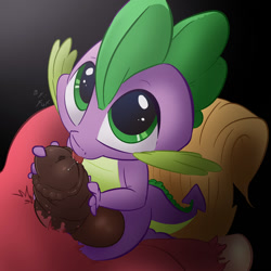Size: 1500x1500 | Tagged: explicit, artist:fuf, spike, balls, big macintosh, blowjob, cute, cute porn, dragon, earth pony, foalcon, g4, gay, genitals, imported from derpibooru, just the tip, male, nudity, oral, penis, pony, ship:spikentosh, shipping, size difference, stallion
