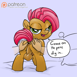 Size: 1500x1500 | Tagged: explicit, artist:smudge proof, babs seed, anus, balls, bed, dickgirl, disembodied hand, foalcon, futa, futa babs seed, g4, gaping, hand, horsecock, human, imported from derpibooru, intersex, looking at you, nudity, offscreen character, patreon, patreon logo, penis, pony, pov, sketch, spread anus