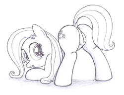 Size: 2330x1780 | Tagged: explicit, artist:an-tonio, fluttershy, anus, ass up, butt, derpibooru exclusive, face down ass up, female, filly, foal, foalcon, g4, imported from derpibooru, monochrome, nudity, plot, ponut, presenting, solo, solo female, traditional art, vulva, younger