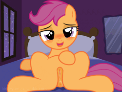 Size: 800x600 | Tagged: explicit, artist:binarypone, scootaloo, anatomically correct, animated, anus, bed, bedroom eyes, blanket, blushing, breathing, eye, eyelashes, eyes, female, filly, foal, foalcon, g4, gif, imported from derpibooru, looking at you, mirror, night, nudity, on back, on bed, open mouth, pegasus, pillow, ponut, pony, presenting, show accurate, show accurate porn, smiling, smiling at you, solo, solo female, spread legs, vaginal secretions, vulva, wet, window