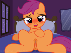 Size: 2731x2048 | Tagged: explicit, artist:binarypone, scootaloo, anatomically correct, anus, bed, bedroom eyes, blushing, female, filly, foal, foalcon, g4, high res, imported from derpibooru, looking at you, nudity, on back, on bed, pegasus, ponut, pony, presenting, show accurate, show accurate porn, smiling, smiling at you, solo, solo female, spread legs, vaginal secretions, vulva, wet