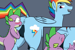 Size: 1200x791 | Tagged: explicit, artist:caluriri, rainbow dash, spike, analingus, analingus on male, anus, ass, barb, butt, dragon, female, female on male, female on male analingus, foalcon, g4, horsecock, imported from derpibooru, male, nudity, oral, penis, ponut, rainbow blitz, rule 63, ship:barblitz, ship:rainbowspike, shipping, straight
