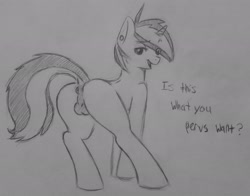 Size: 2450x1920 | Tagged: explicit, artist:subimaru_kai, oc, oc:snowy, age regression, anus, balls, blank flank, butt, colt, dialogue, english, female to male, foal, foalcon, imported from derpibooru, looking at you, male, monochrome, nudity, oc only, plot, presenting, raised eyebrow, reasonably sized genitals, rule 63, solo, solo male, taint, talking to viewer, teenager, younger